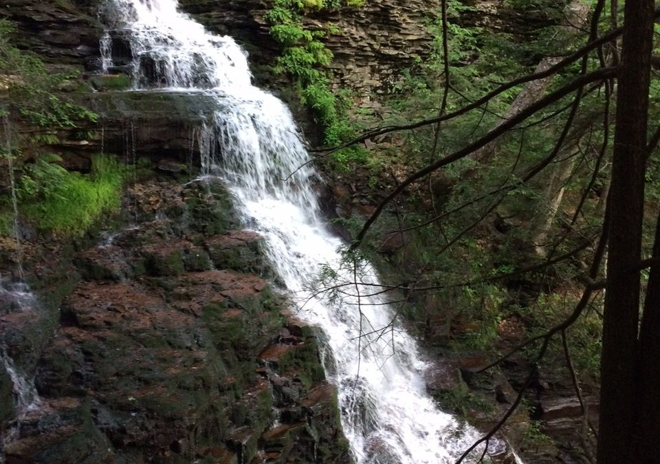 Ricketts Glen State Park, Benton PA